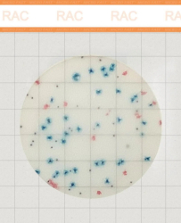 MicroFast Rapid Aerobic Count Plate